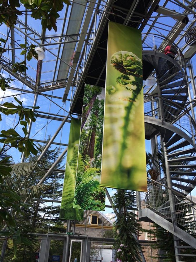 Planten uit de Oertijd banieren Studio Kaboem!